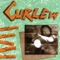 Rudders - Curlew lyrics