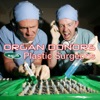 Plastic Surgeons, 2004