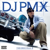 DJ PMX Feat. Cherry Brown, KNUX, QN, Maria - HIP HOP HOLIC