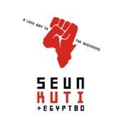Seun Kuti & Egypt 80 - Higher Consciousness