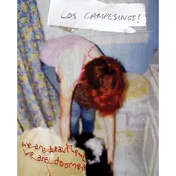 We Are Beautiful, We Are Doomed - Los Campesinos!