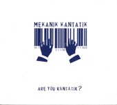 Are You Kantatik?