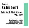 Trio in E Flat Minor, Op, 100 album lyrics, reviews, download