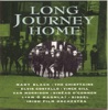 Long Journey Home - The Irish In America artwork