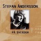 Vargen - Stefan Andersson lyrics