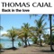 Back in the love (afternoon mix) - Thomas Cajal lyrics