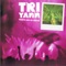 Y'a quatre marins (feat. Hugues Aufray) - Tri Yann lyrics