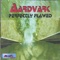 Avoidance Maneuver - Aardvark lyrics