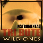 The Hit Club - Wild Ones (Instrumental Tribute)