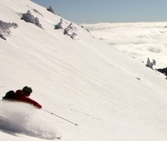Western States Winter Emergency Medicine Conference cover