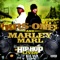 Hip Hop Lives - KRS-One & Marley Marl lyrics
