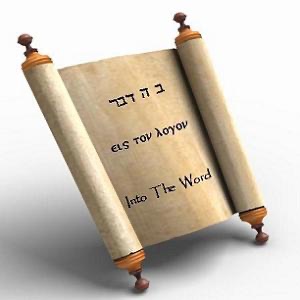 Into The Word: Book of Revelation cover