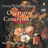 Musica Alta Ripa - Overture in F-Sharp Minor, TWV55:fis: VI. Menuet I/II