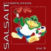 Salsa IT Compilation, Vol 9 artwork