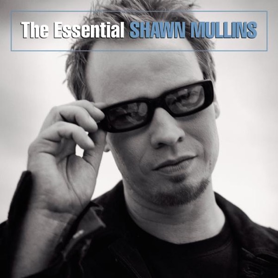 Cover artwork for Shimmer