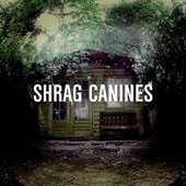 Shrag - On the Spines of Old Cathedrals