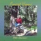 Deer Tracks in Snow - Peter Davison lyrics