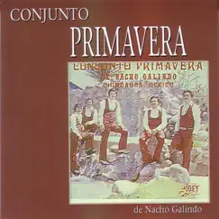 Chihuahua, Mexico by Conjunto Primavera album reviews, ratings, credits