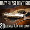 Baby Please Don't Go! 30 Essential Blues Songs