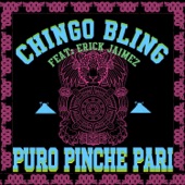 Puro Pinche Pari (feat. Erick Jaimez) artwork