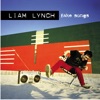 Liam Lynch - United States of Whatever