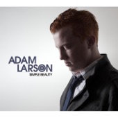 Adam Larson - Loophole