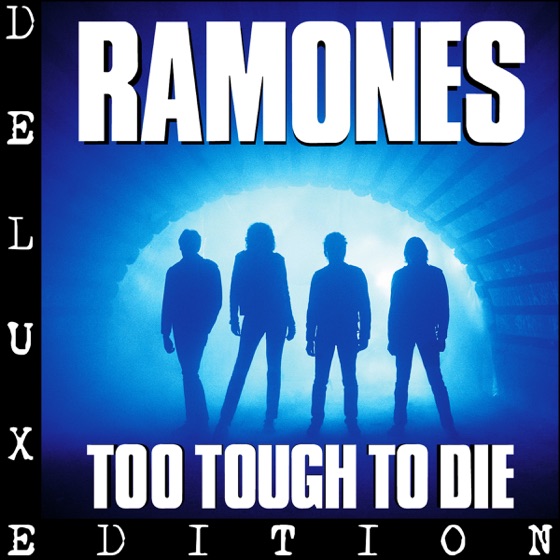 Cover artwork for Danger Zone