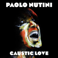 Paolo Nutini - Iron Sky artwork