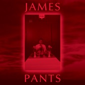 Kathleen - James Pants