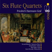 Quartet No. 3 for Flute, Violin, Viola and Violoncello in D Major: I. Allegro artwork