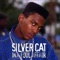 Dionne - Silver Cat lyrics