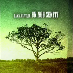 Un Nou Sentit - Damià Olivella