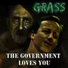 The Government Loves You - Single album lyrics, reviews, download