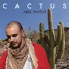 Cactus - Single album lyrics, reviews, download