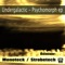 Psychomorph (Strobetech Remix) - Undergalactic lyrics