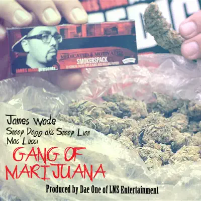 Gang of Marijuana (feat. Mac Lucci) - Single - Snoop Dogg