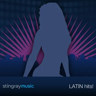 You've Got to Stand for Something - Single (In the Style of Aaron Tippin) [Performance Track with Demonstration Vocals] - Done Again