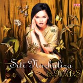 Siti Nurhaliza - Airmata Ibu Lyrics