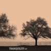 Tranquility 007, 2012