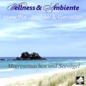 Meer und Möwen artwork