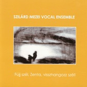 Szilárd Mezei Vocal Ensemble - Archaikus Jóslat