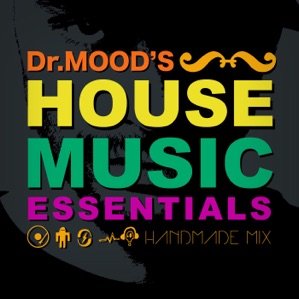 HOUSE MUSIC ESSENTIALS VOL:21 Back With a Vengeance 3