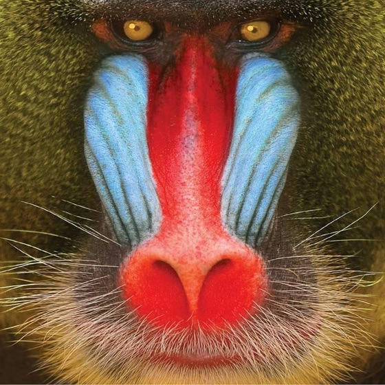 Cover artwork for Before Your Birthday Ends