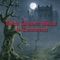 Everybody's Fool (Made Famous by Evanescence) - Gothic Acoustic Players lyrics