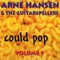Don't Give a Toss - Arne Hansen & The Guitarspellers lyrics