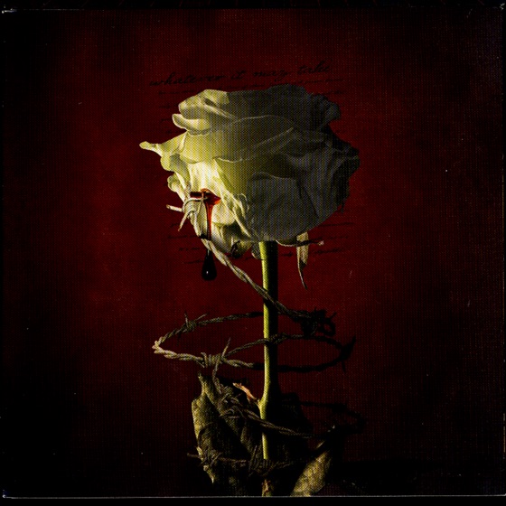Cover artwork for Implore the Darken Sky