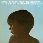 Plant and See - Witches Brew