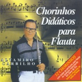 Chorinhos Didaticos para Flauta artwork