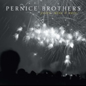 Judy - Pernice Brothers