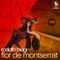 Flor de Montserrat - Rodolfo Biagi & Alberto Amor lyrics